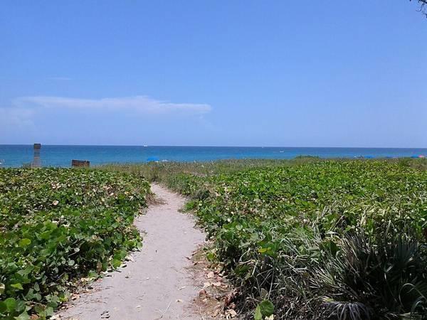 TROPIC BAY CONDOMINIUM & - Residential