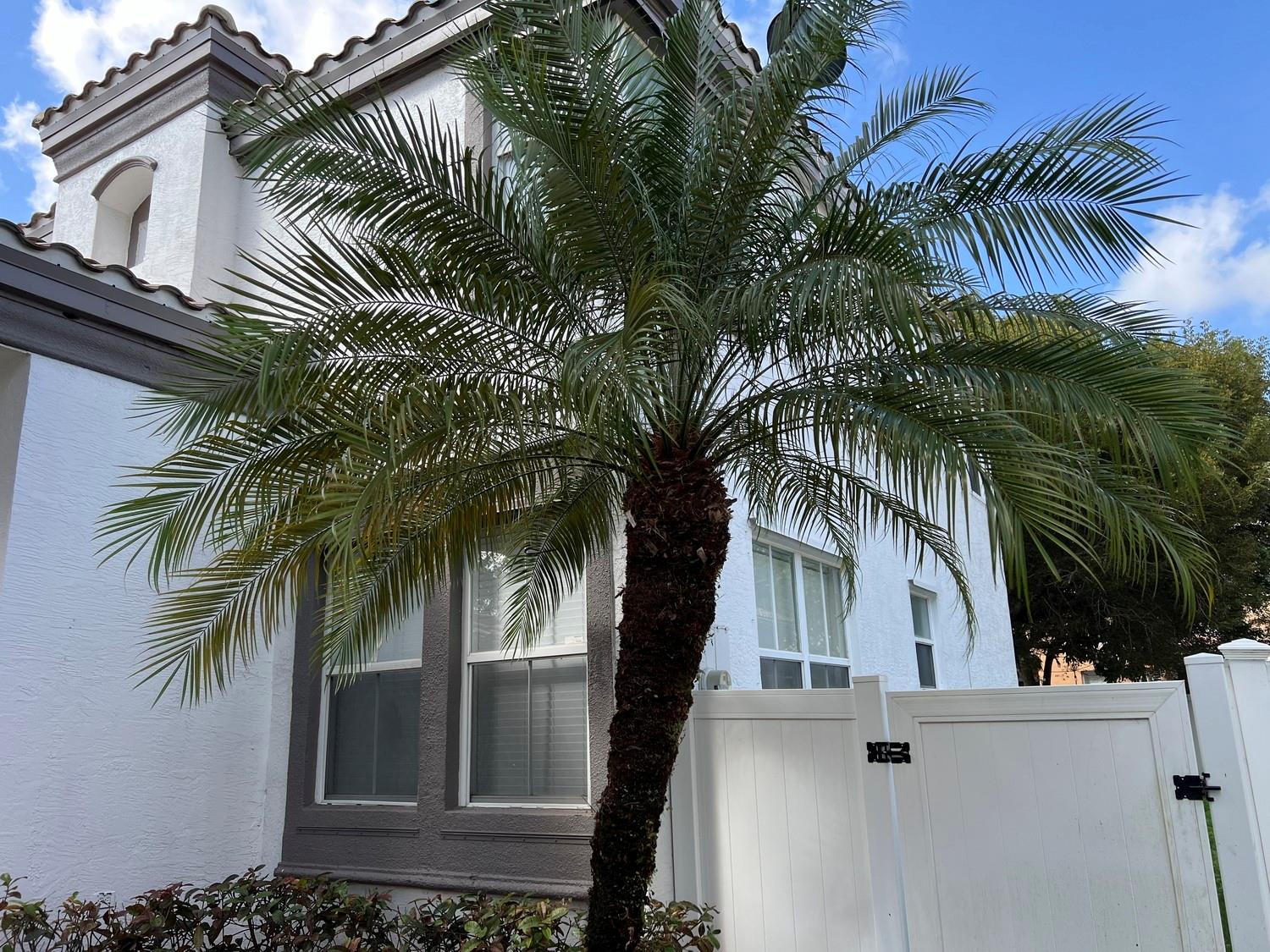 Riviera Isles II 170-53 B - Residential Lease