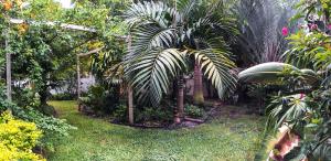 COLONY AT LERMITAGE - Residential