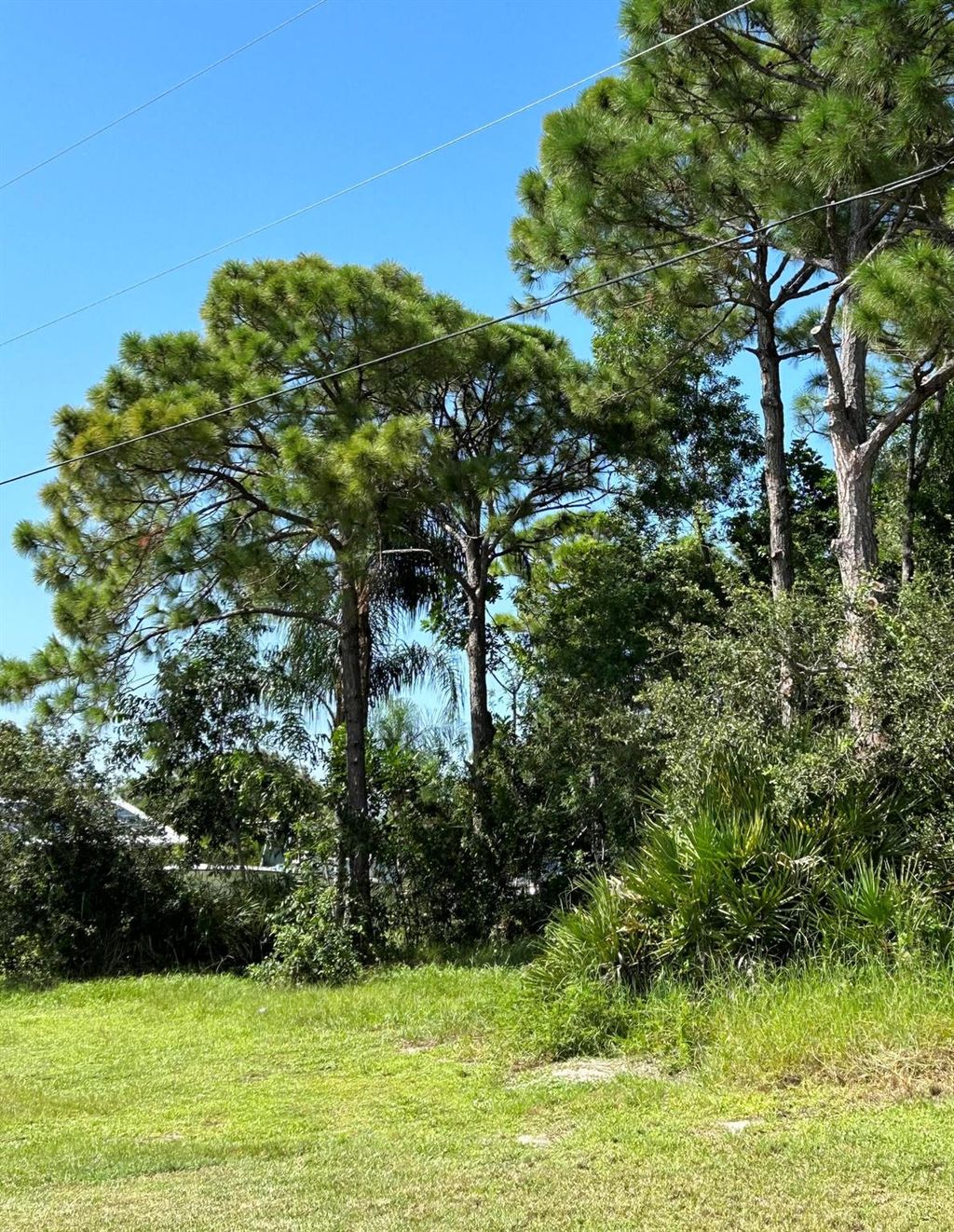 Photo of 2249 SE Bowie Street, Port St Lucie, FL 34952 (MLS # R10912268)