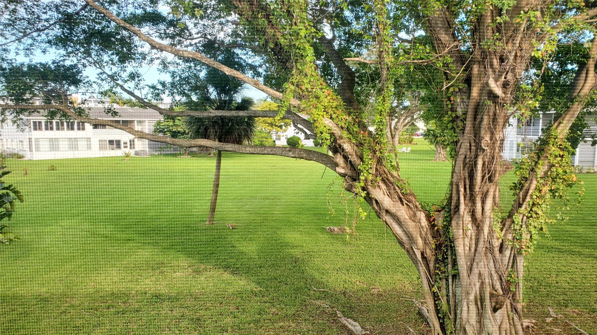 Newport K Condo - Residential Lease