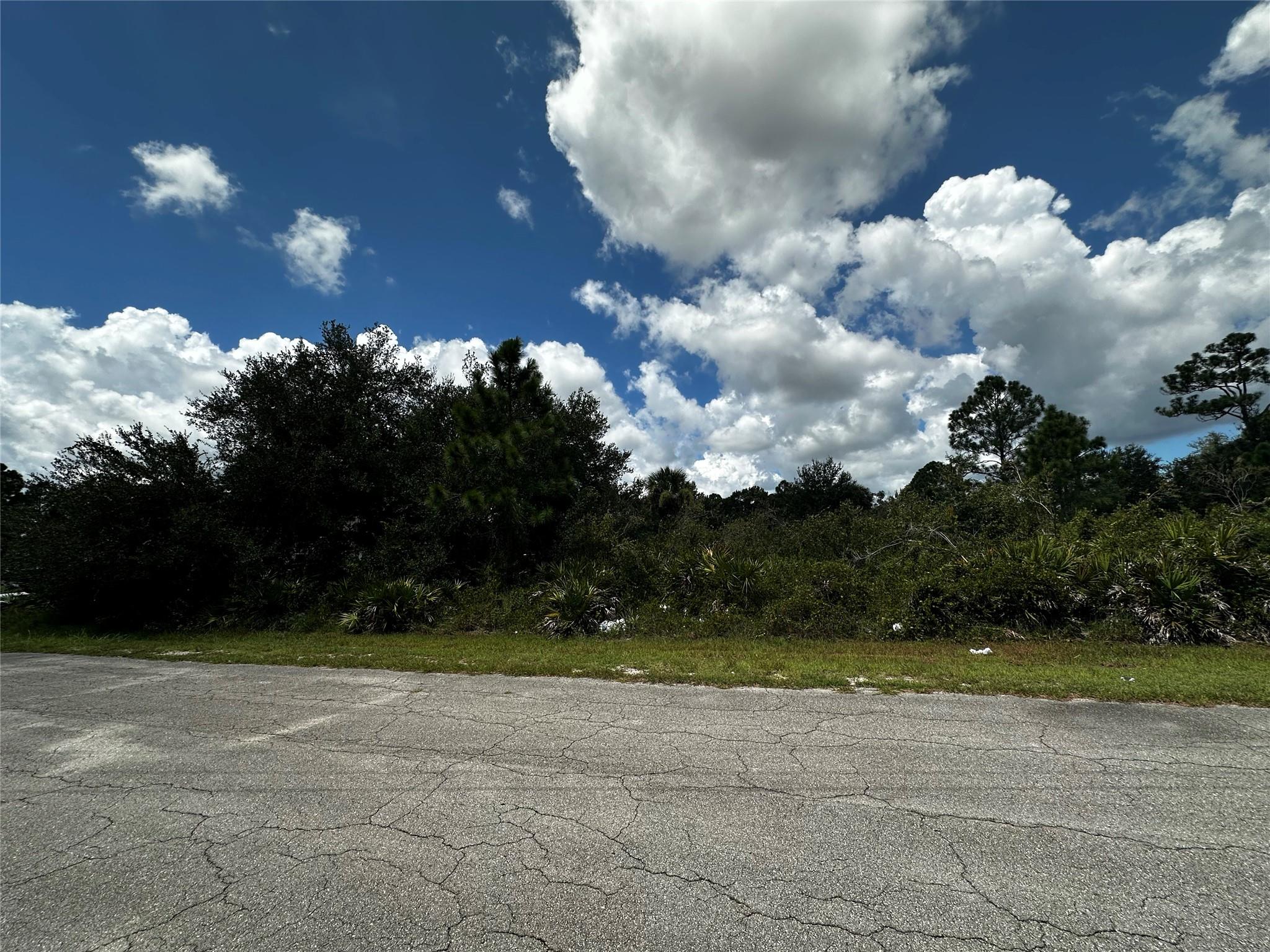 Residential half-acre lot in Lehigh Acres, FL 33972. Zoned for single-family development on a paved road with utilities nearby. Located in a quiet, growing neighborhood with convenient access to shopping, dining, and local services. Ideal for building your future home or a vacation retreat, as well as a family-friendly investment in a expanding Lehigh Acres community. Motivated seller accepting highest offer. Don’t miss this great-priced parcel to create your dream home on a spacious half-acre lot in a developing area with easy access to amenities.