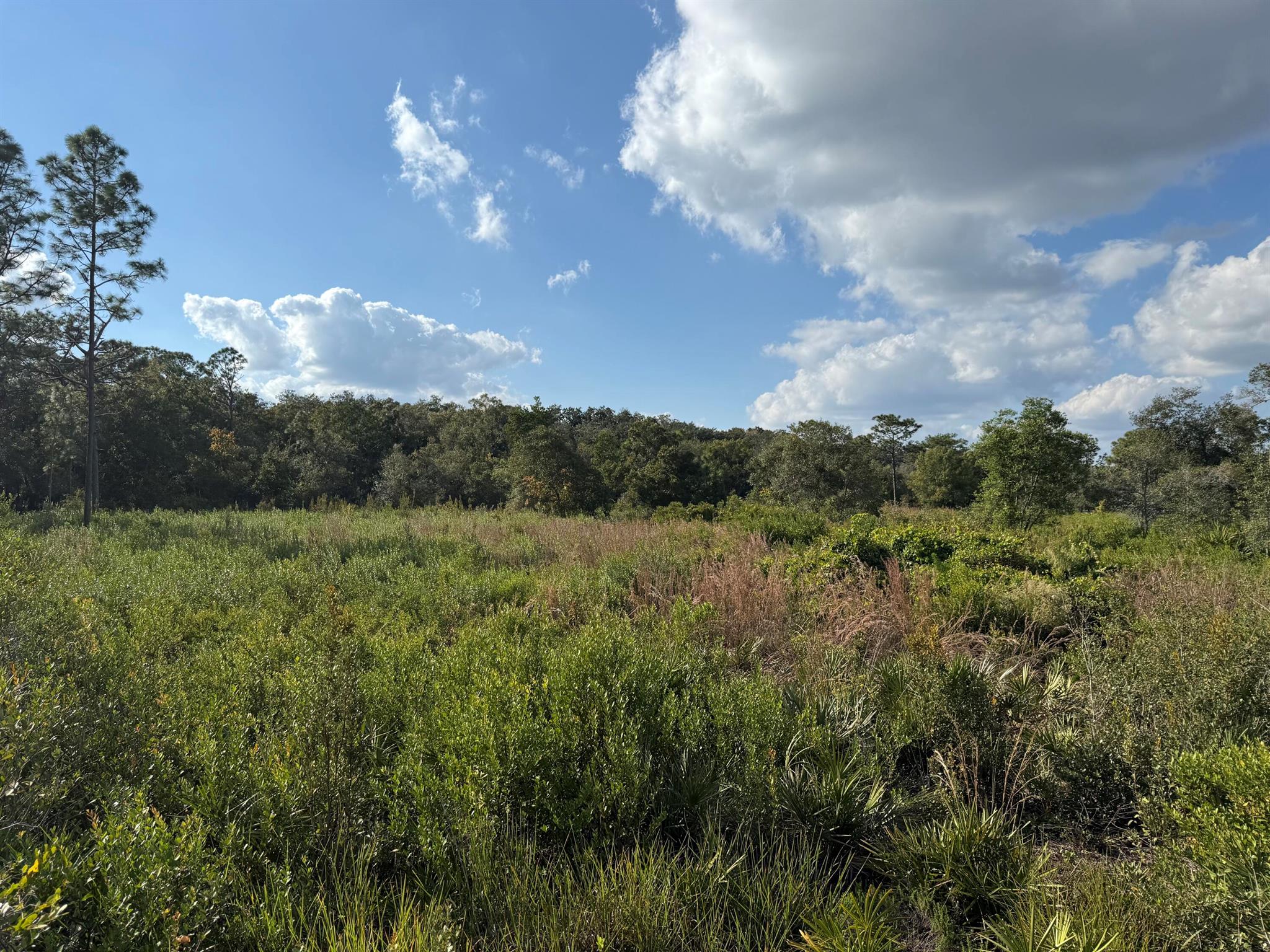 THE PINELANDS - Land