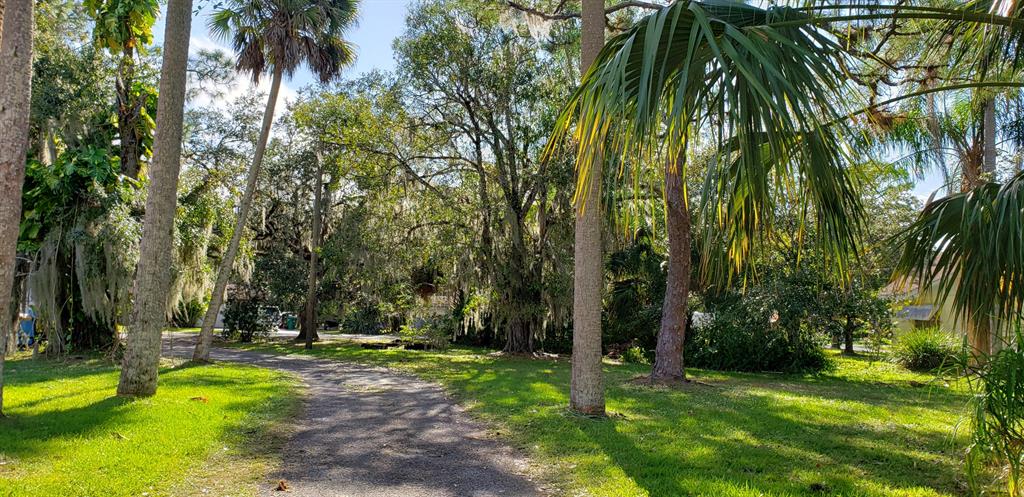 Lots of Land, come check out this Amazing 4 bedroom property for rent on almost 1ACRE of land. Perfect home allows for a large family to feel comfortable. If you have two households coming together this is perfect with a suite in the rear that has a separate entrance. This is In the Saint James area. On a dead end road which offers great privacy. It is right off of Saint James Drive close to award winning golf courses and conveniently located close to US1 and 10 minutes from I95 off Midway Rd. Property boasts large bedroom and huge palms and trees offering shade and tranquility. Get away from the city noise and live in peace surrounded by nature. The pictures dont do this property justice, come and see it in person.