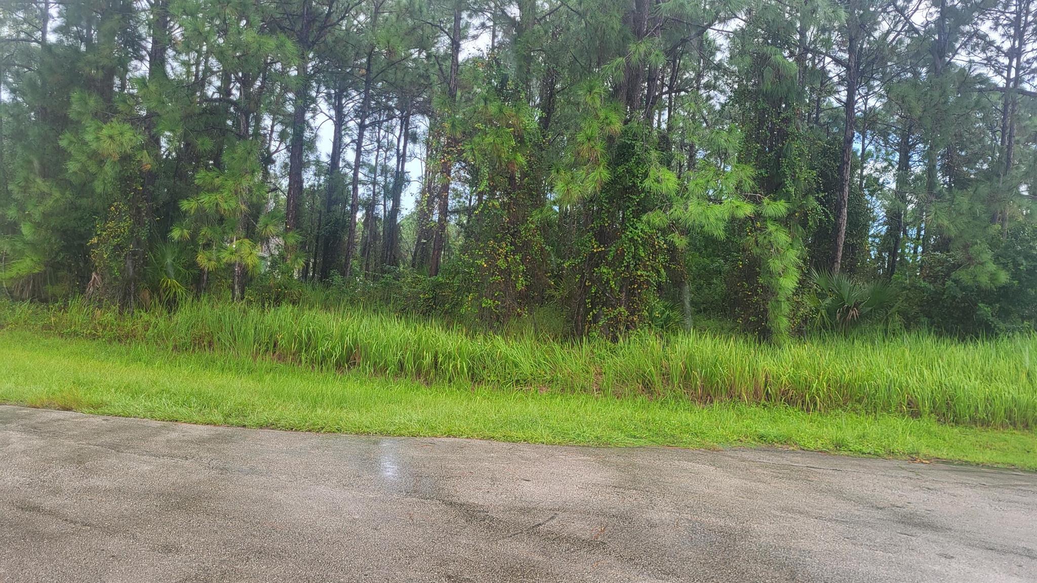 PORT ST LUCIE SECTION 44 - Land