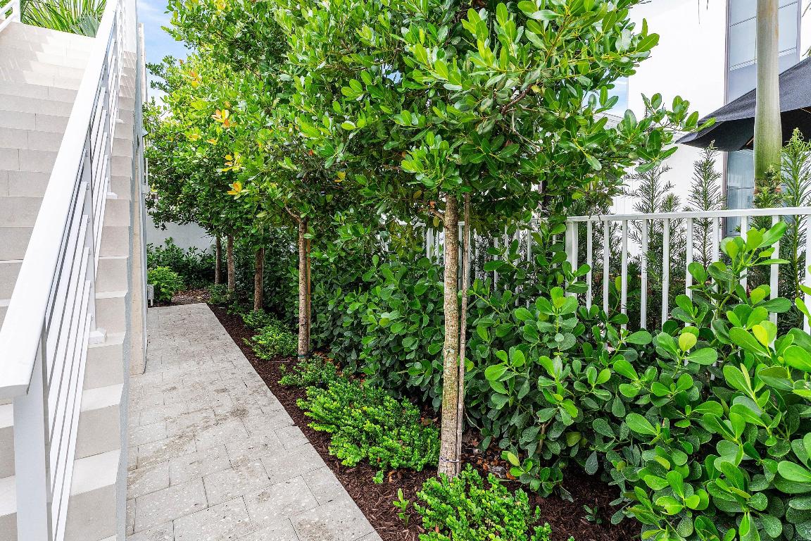 SOPHIA FREY - Residential