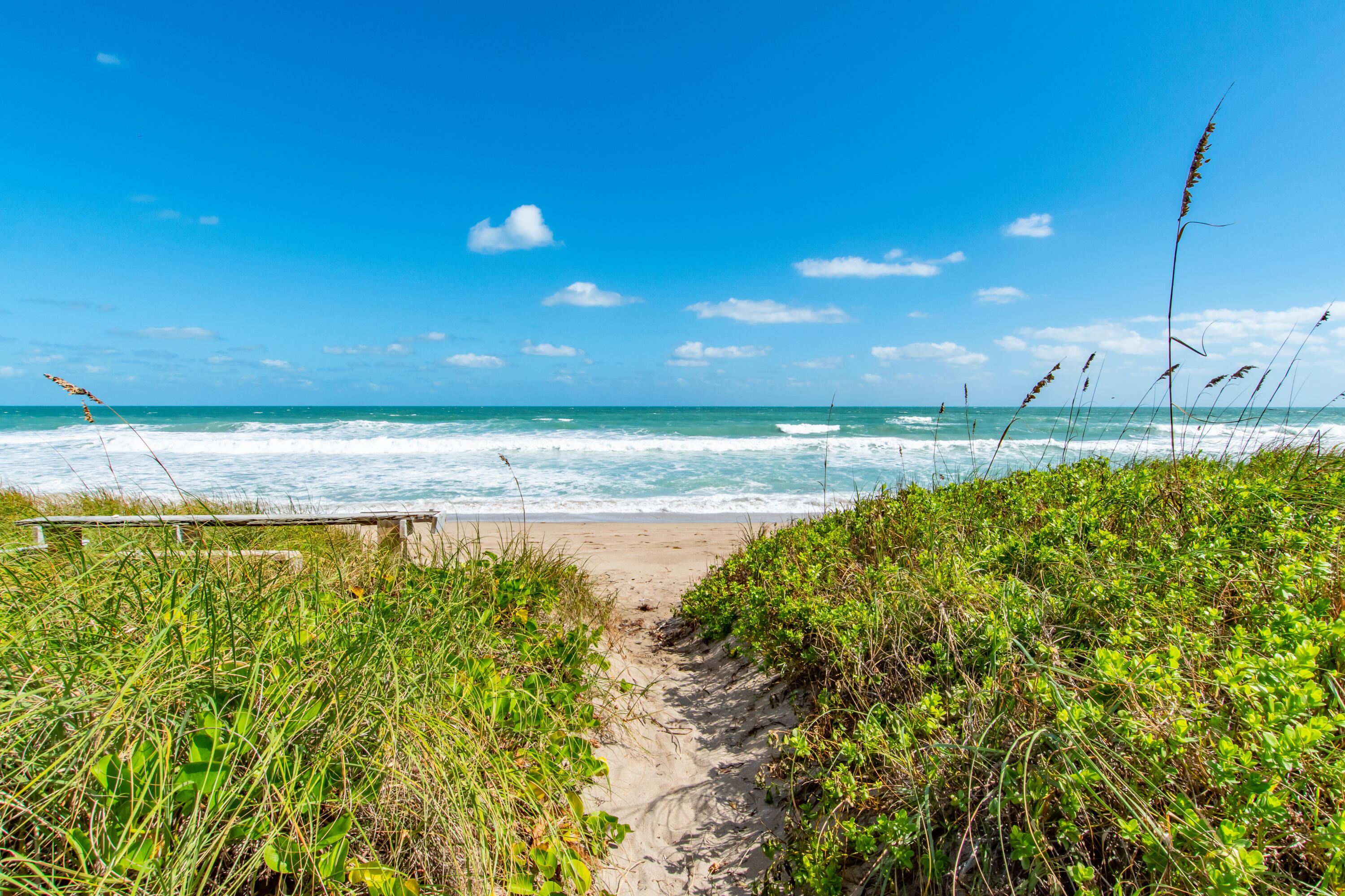 THE SANDPEBBLE CONDO - Residential Lease