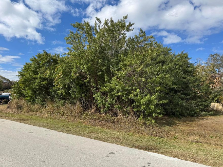 Looking to build your dream home in Port St Lucie. Vacant lot 1/3 Acre (0.31) available. We have builders available to help in the process. No HOA Fee's close to schools, shopping, restaurants & highways.
