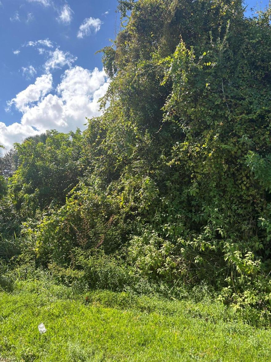 Build your dream home on this beautiful 0.23- acre lot located in the heart of Port Saint Lucie, Closer to Port St. Lucie Blvd and 3 miles from US1.This lot is ideal for a custom single-family home perfect for homeowners, investors, or builders looking to build on one of the fastest-growing areas on the Treasure Coast. No HOA. Convenient access to Port Saint Lucie Blvd, US1 and I-95. Close to schools, parks, shopping and dining. Don't miss this opportunity - secure your piece of Florida's Treasure Coast Land today!