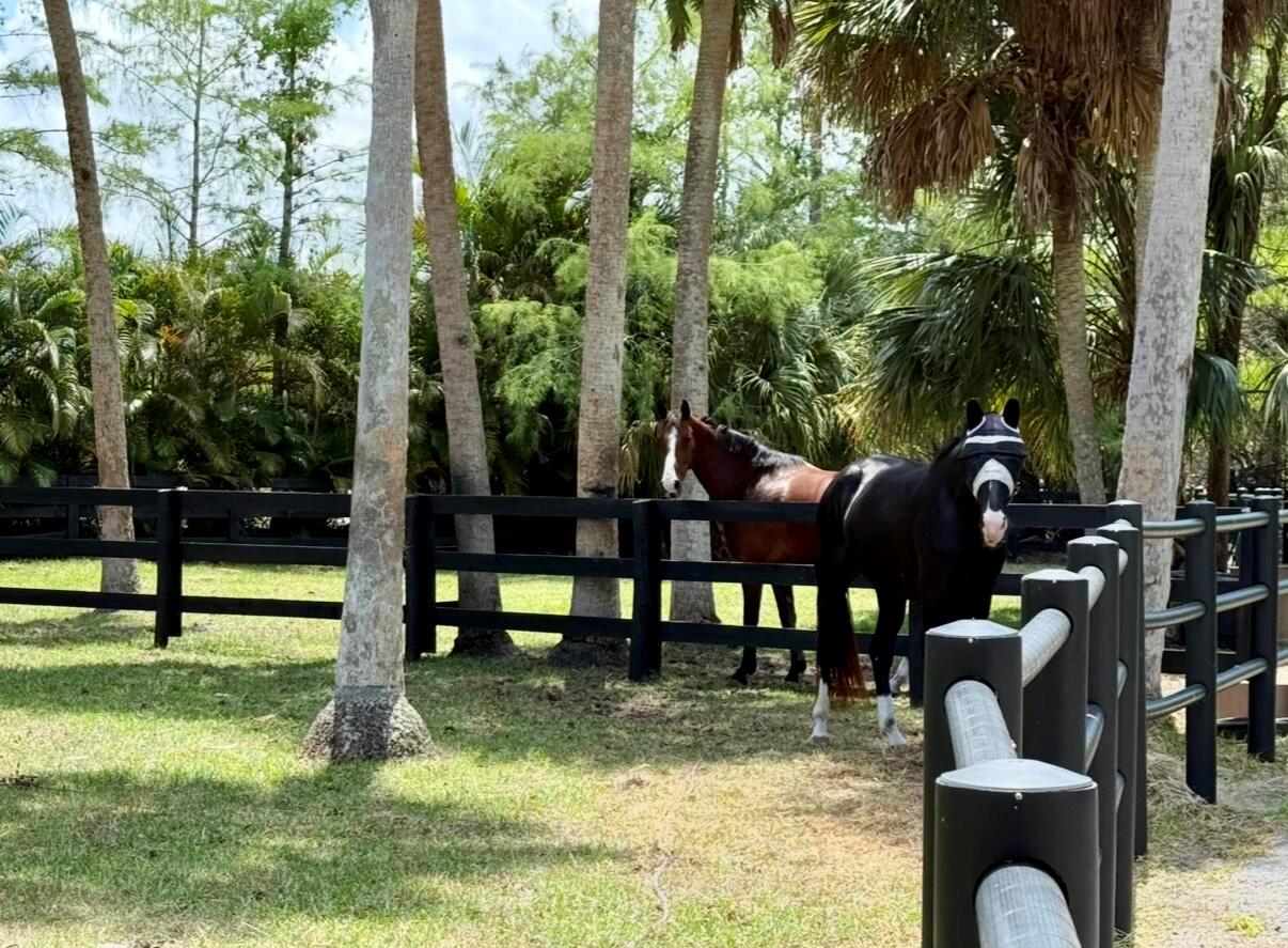 FOX TRAIL - Residential