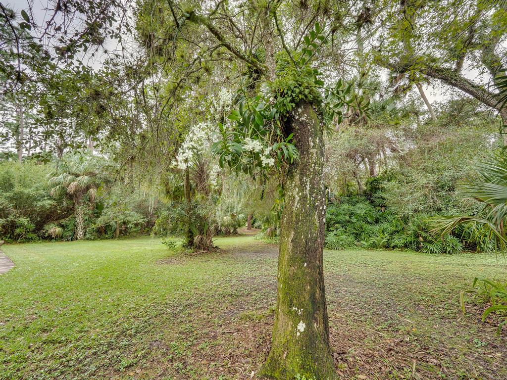 IMMOKOLEE - Residential