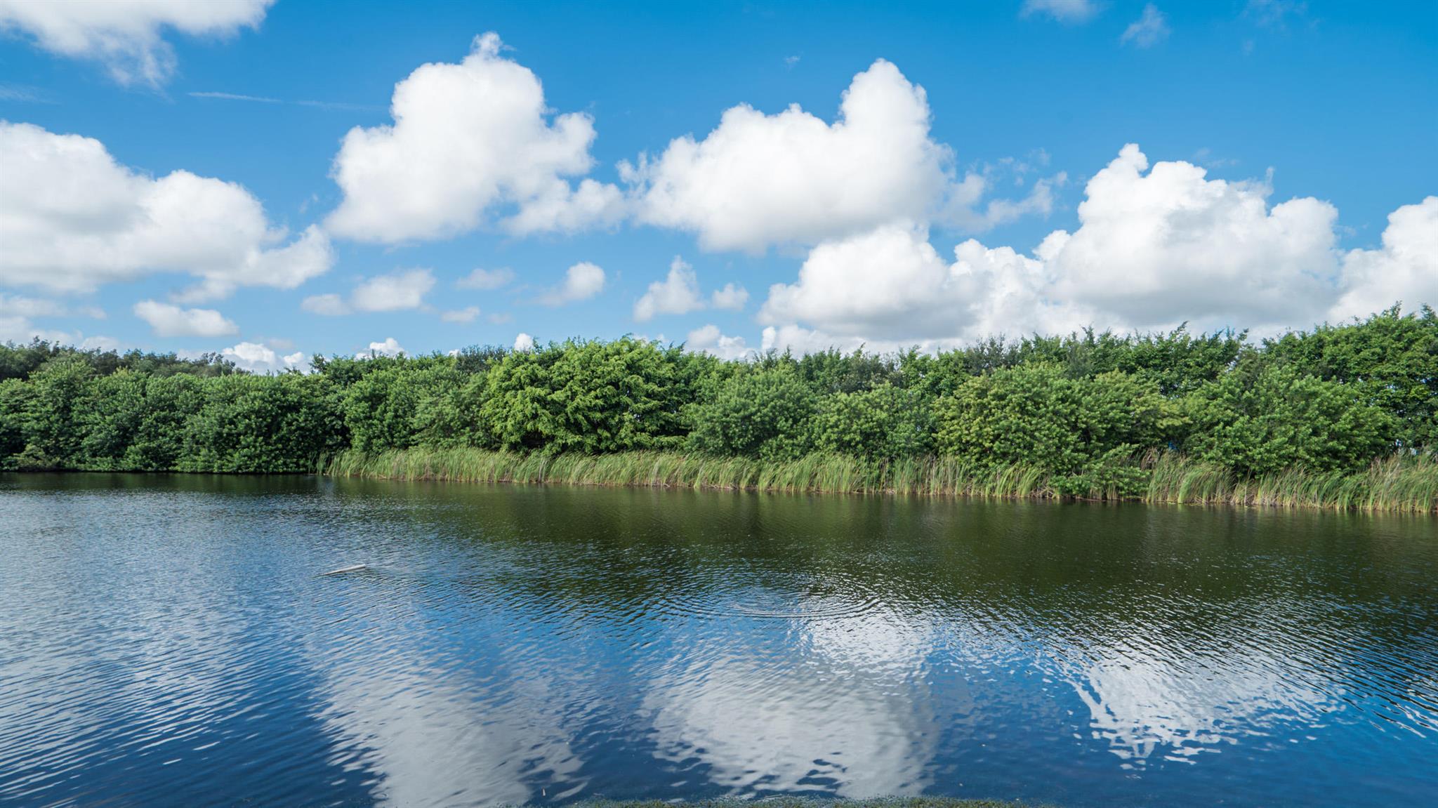 EQUESTRIAN CLUB ESTATES 2 - Residential Lease