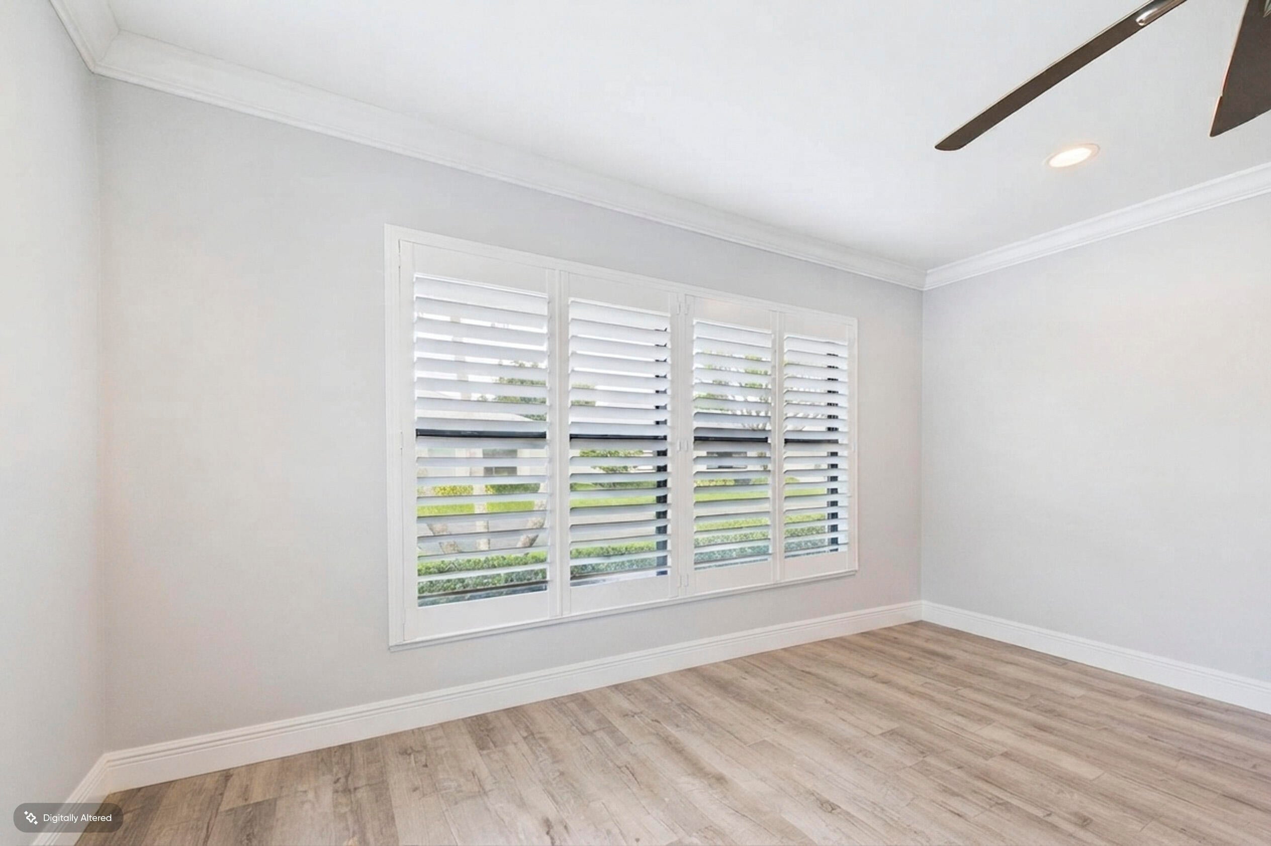 9990 LIGUSTRUM TREE Way A