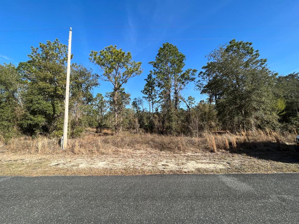 VERY NICE WOODED LOT TO BUILD YOUR DREAM HOME ON 1 Acre IN THE BEAUTIFUL COMMUNITY OF RAINBOW ACRES. IN AN AREA OF NEW HOMES. WITH A HOME ALEADY NEAR BY FOR EASY ACCESS TO POWER, BUT STILL VERY PRIVATE CONVENIENT TO DOWNTOWN DUNNELLON WHERE YOU WILL FIND RESTAURANTS, SHOPPING AND ANTIQUE SHOPS, OCALA, GAINESVILLE, CRYSTAL RIVER, GULF OF MEXICO AND THE BEAUTIFUL. Rainbow Springs State Park is just a short drive away where you can enjoy nature walks among the mature azaleas, bird watching, kayaking and swimming at the head of this pristine first magnitude spring. Whether you're looking to build your dream home or purchase as a future investment this property checks all the boxes.
