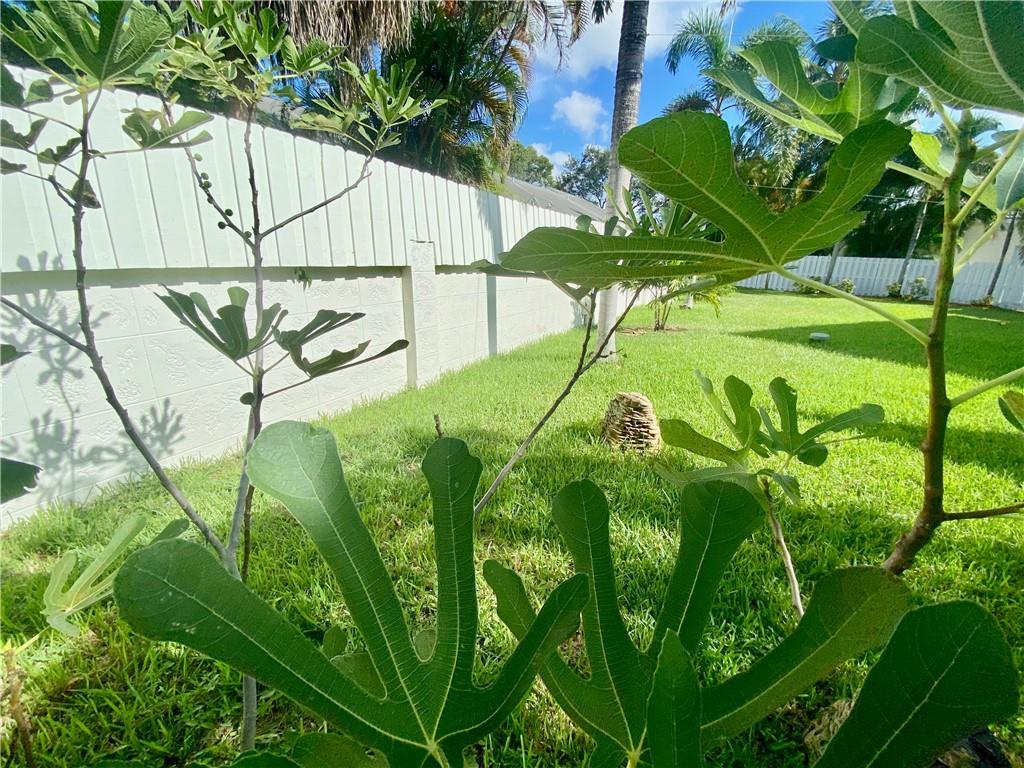 Banyan Oakridge - Residential