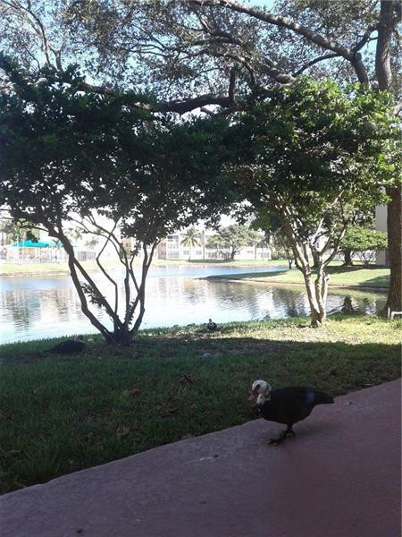 Bermuda Club Eight Condo - Residential Lease