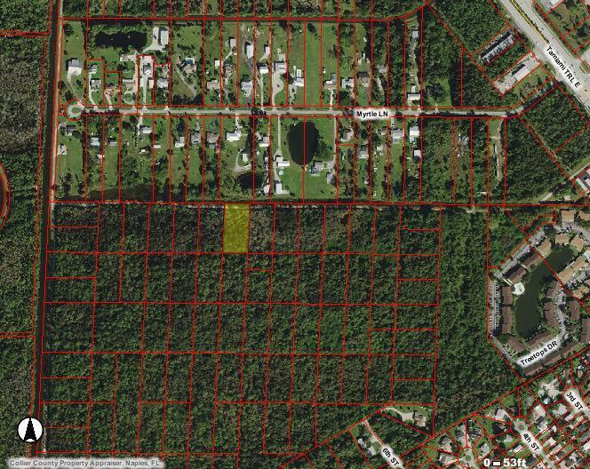 INVESTOR SPECIAL!! BUY 1 OF THE 2 LOTS AND GET THE SECOND ONE AT HALF PRICE, THAT'S RIGHT ''BUY 1 GET 1 AT 50% OFF''. IF YOU'RE LOOKING FOR LAND IN SOUTH NAPLES TO BUILD ON IN THE FUTURE, THIS IS IT. 1 OF 2 LOTS AVAILABLE IN THIS UNDEVELOPED 100 ACRE SECTION LOCATED IN WENTWORTH ESTATES, JUST SOUTH OF MYRTLE LANE, WEST OF TREE TOPS DR, NORTH OF TREVISO BAY GOLF COURSE AND WEST OFF TAMIAMI TRAIL. COME AND GET 1 OR BOTH PARCELS IN THIS UP-AND-COMING LOCATION, AS LAND BECOMES LESS AVAILABLE AND MORE EXPENSIVE IN THE BOOMING SOUTH NAPLES AREA. BUY 1 LOTS AND GET 1 LOT AT 50% OFF!! WOW WHAT A DEAL & SAVE THOUSANDS