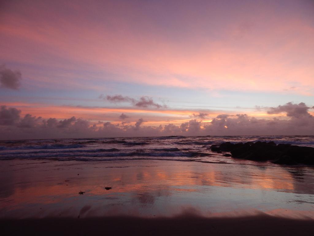 MARBELLA WOODS - Residential Lease