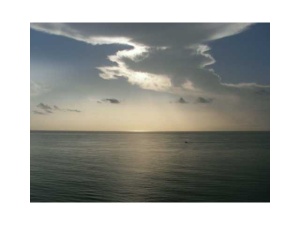 Mayfair House - Residential Lease