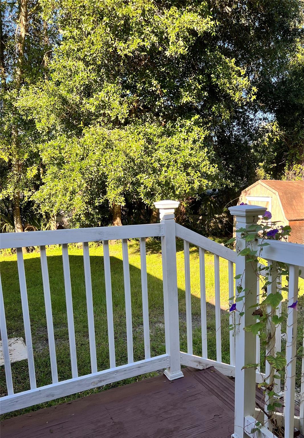 Druid Hills Rev - Residential