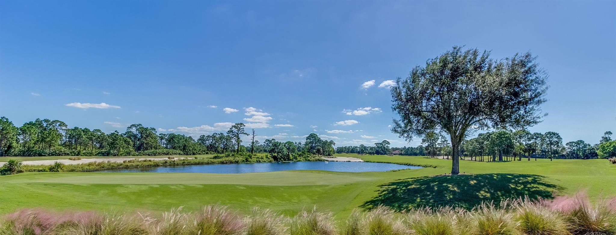 MARSH LANDING - Residential