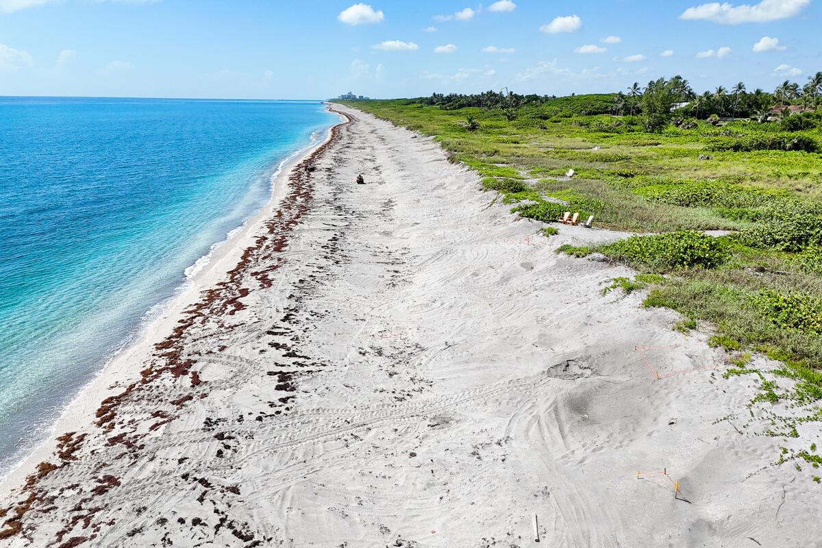 SEVEN OAKS ISLAND - Residential Lease