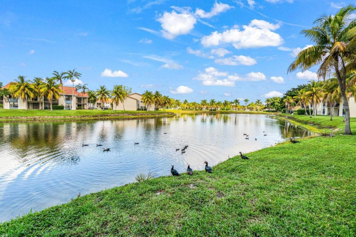 PALM BEACH GRANDE CONDO - Residential