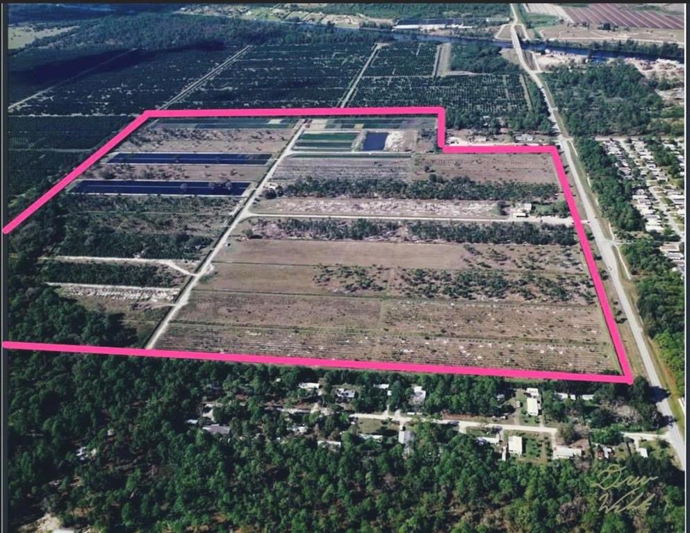 TROPICAL FRUIT FARMS - Commercial Sale