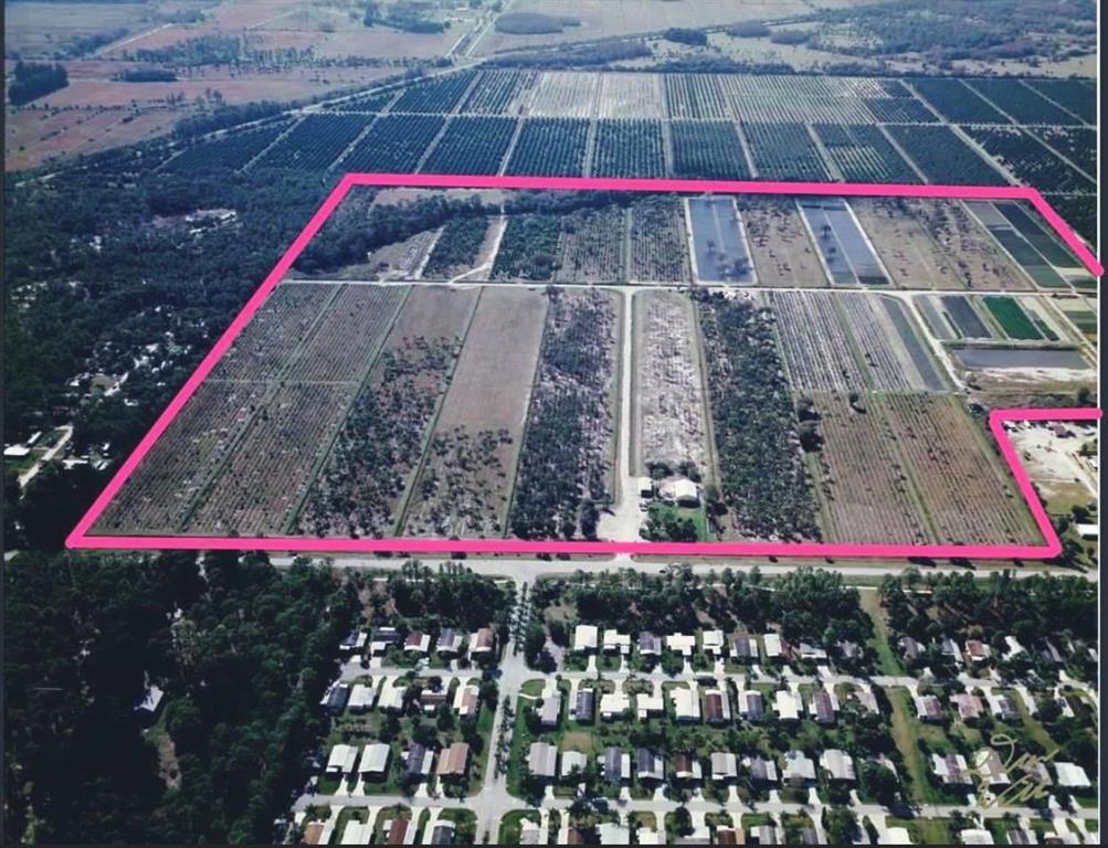 TROPICAL FRUIT FARMS - Commercial Sale