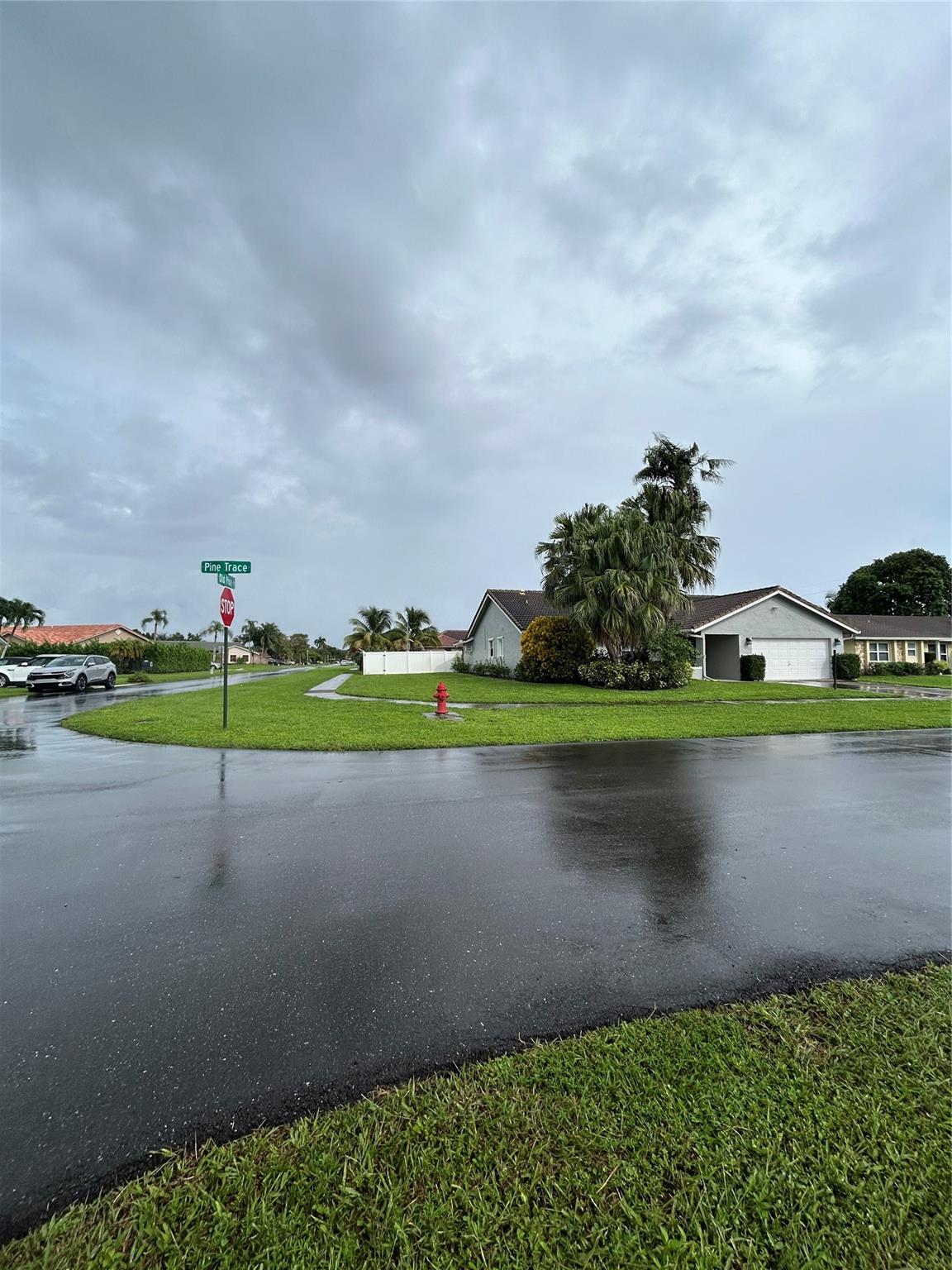 21910 Pine Trce