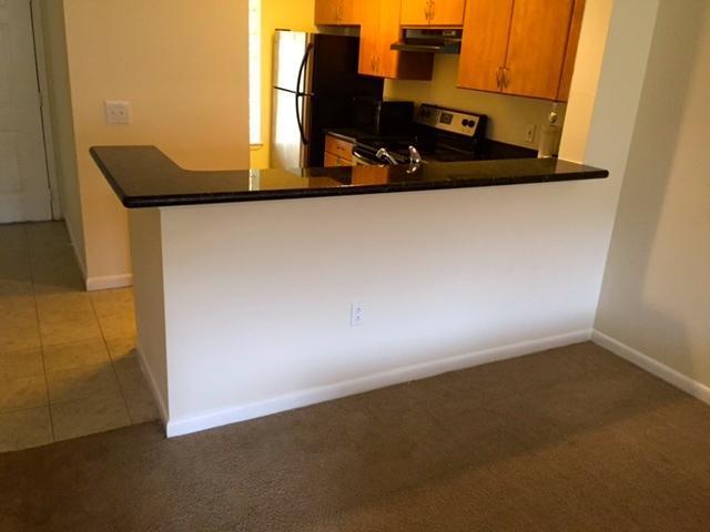 PALM LAKE CONDO - Residential Lease