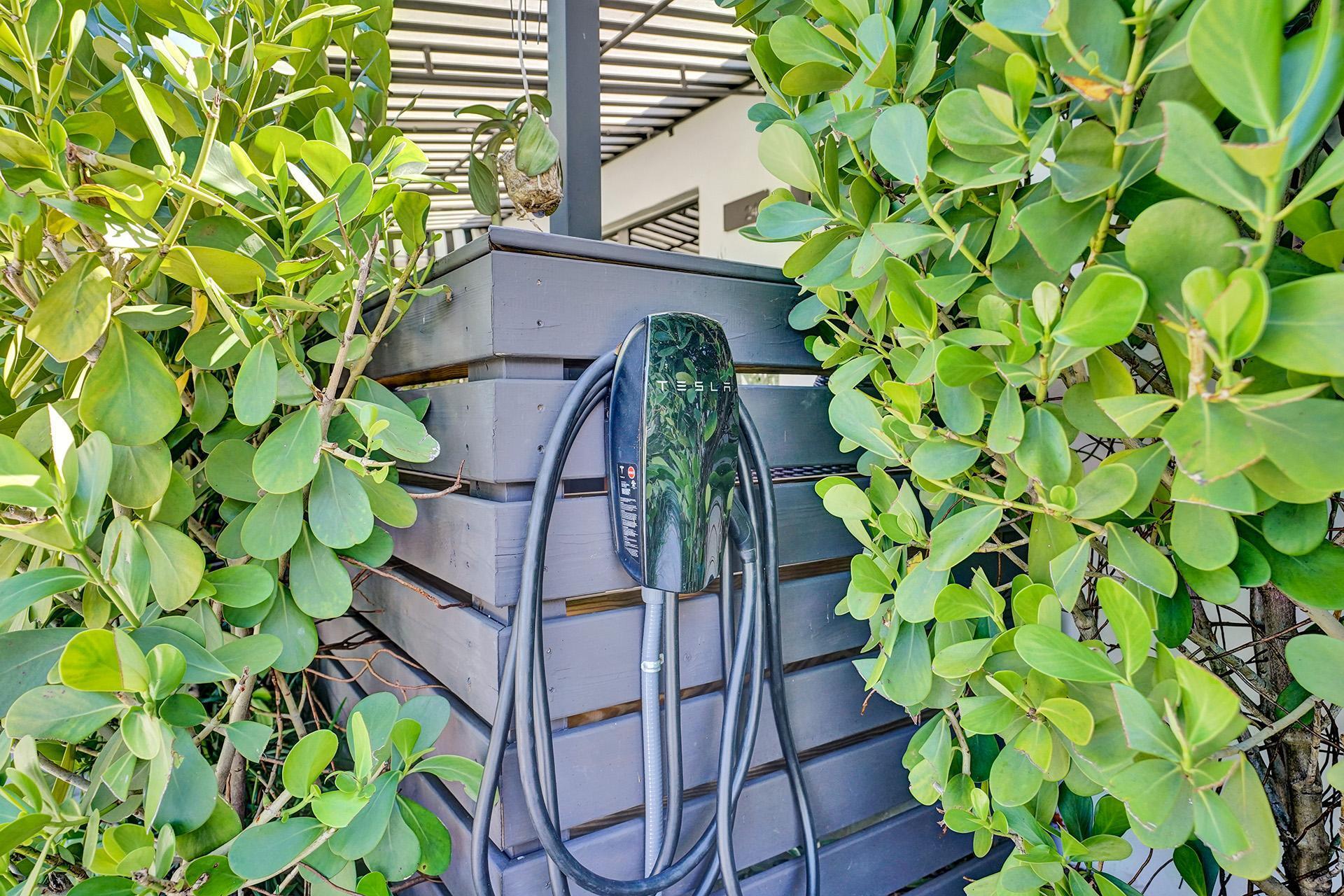 OLD SCHOOL SQUARE HISTORI - Residential