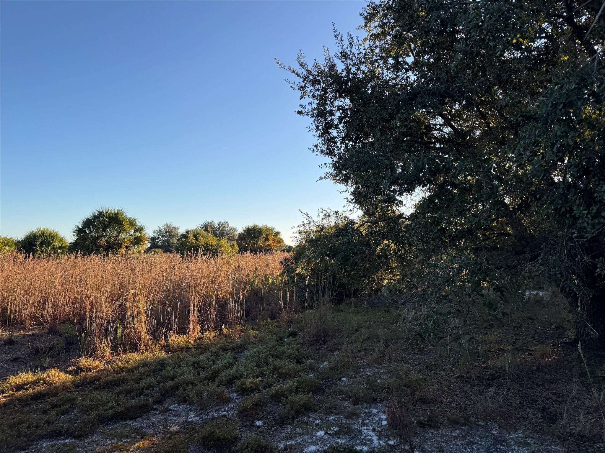 Cabbage Wood Ranches - Land