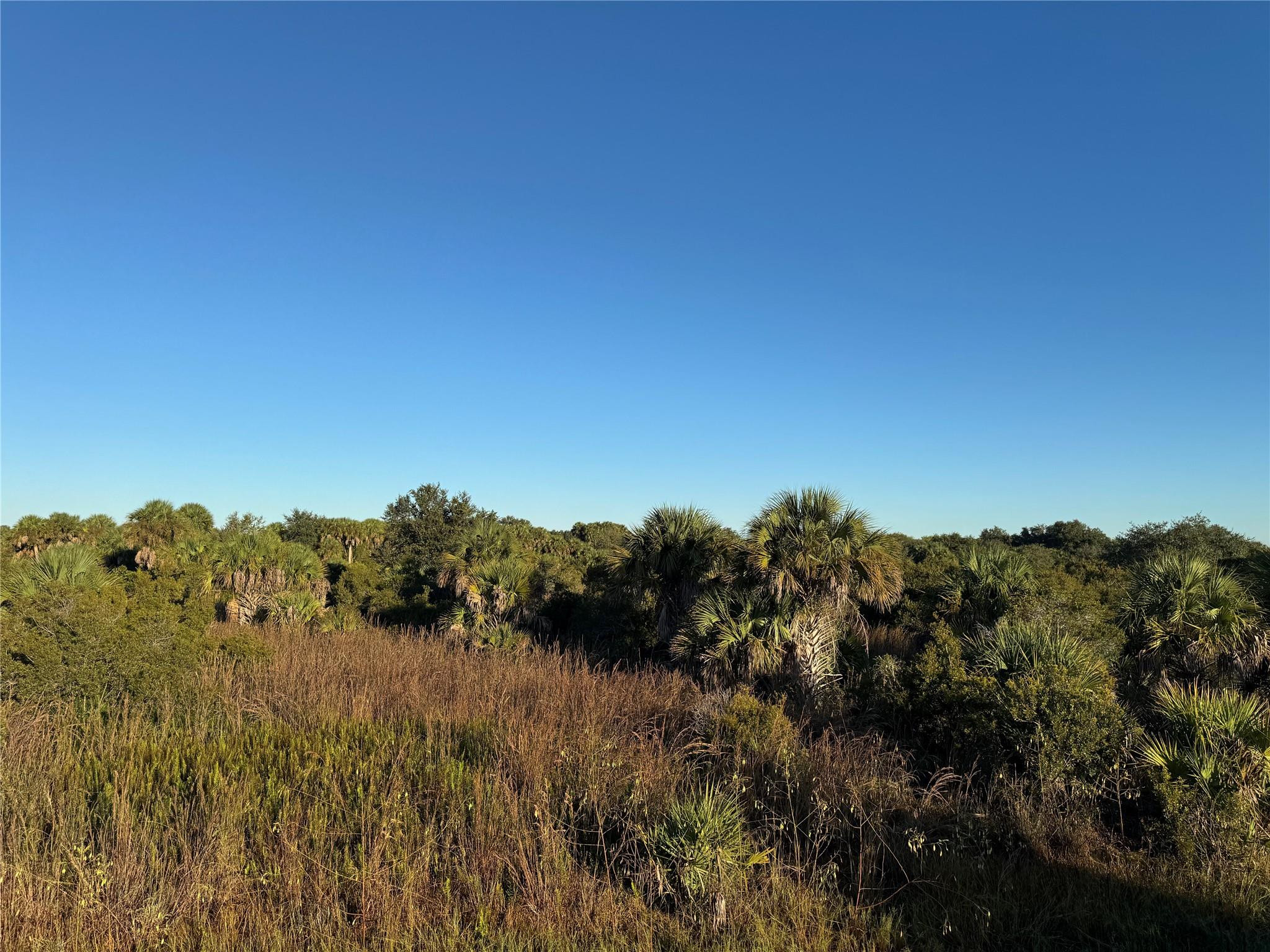 Cabbage Wood Ranches - Land