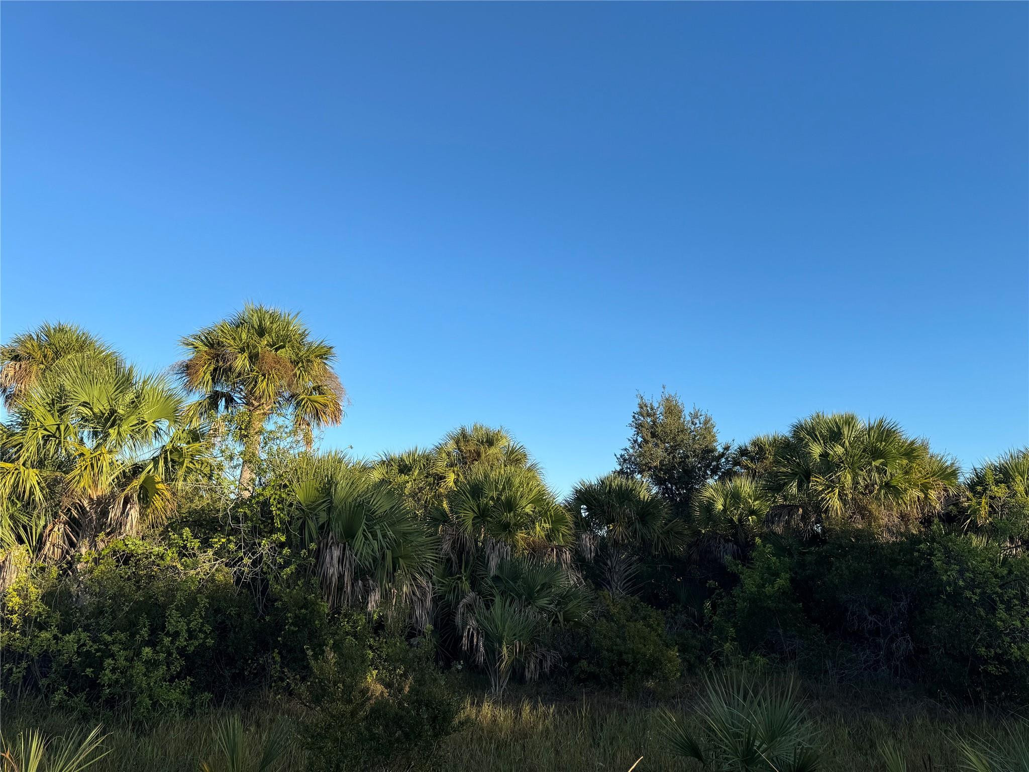 Cabbage Wood Ranches - Land