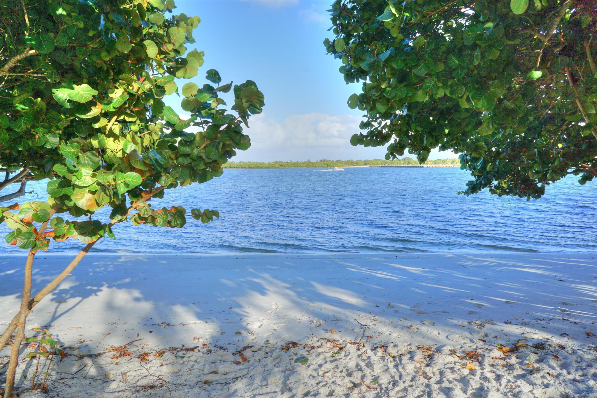 YACHT CLUB - Residential Lease