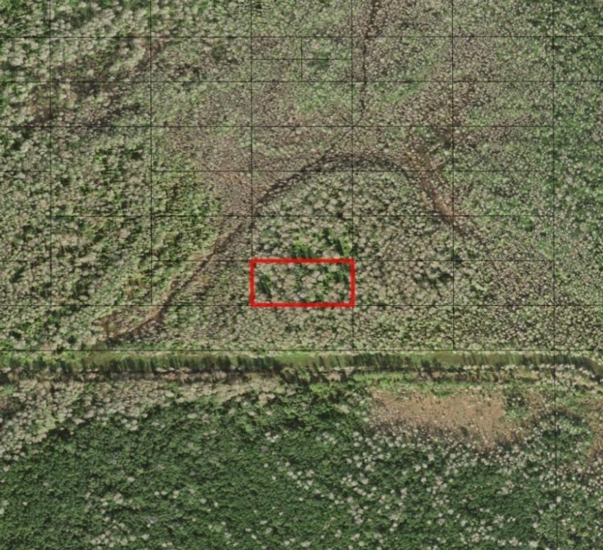 Holopaw offers vast, open spaces and abundant trails perfect for four-wheeler enthusiasts, making it a haven for off-road adventures. The area’s rich wildlife and serene natural environment provide excellent hunting opportunities for outdoor enthusiasts. Owning property in Holopaw ensures easy access to these activities, creating a personal retreat in the heart of Florida’s wilderness.