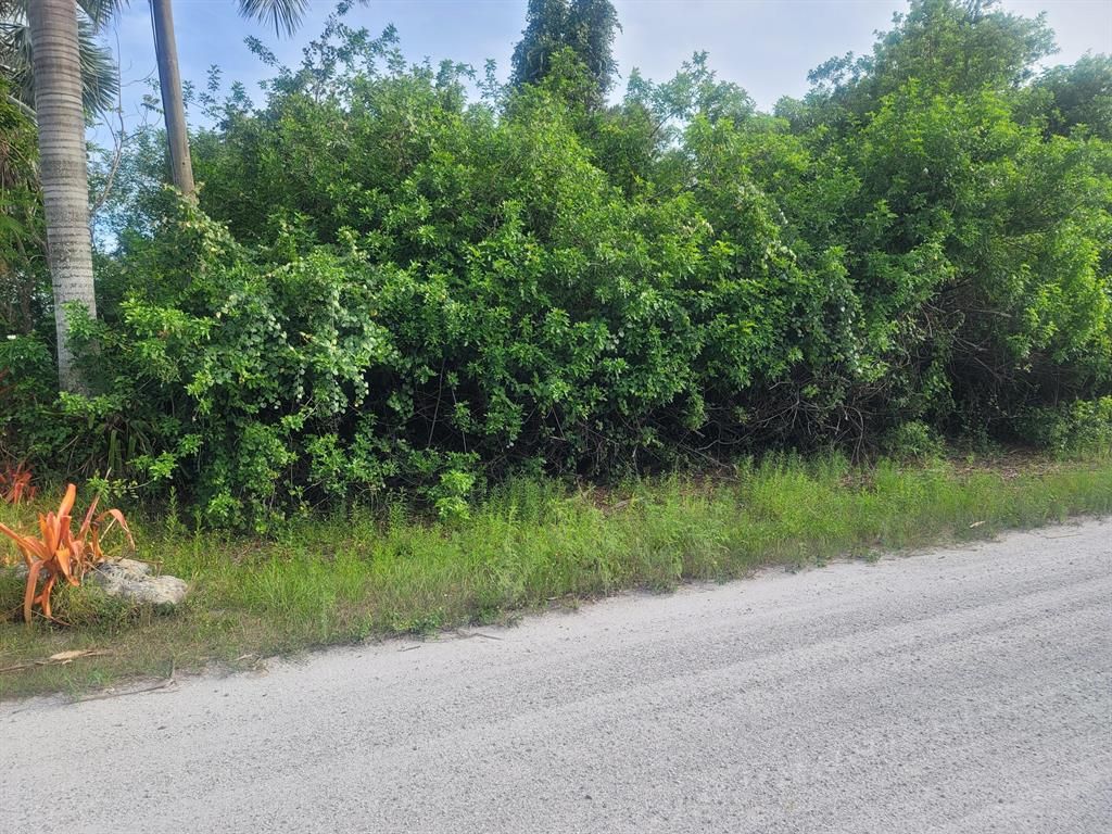 Photo of Xxxxx 42nd Road N, Loxahatchee, FL 33470 (MLS # R10721959)