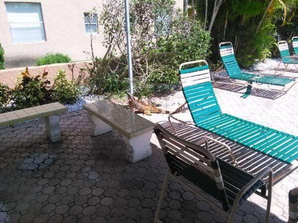 PALM LAKES CONDO - Residential