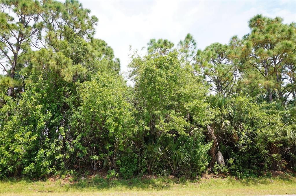 Photo of 6170 NW East Deville Circle, Port Saint Lucie, FL 34986 (MLS # R10707258)