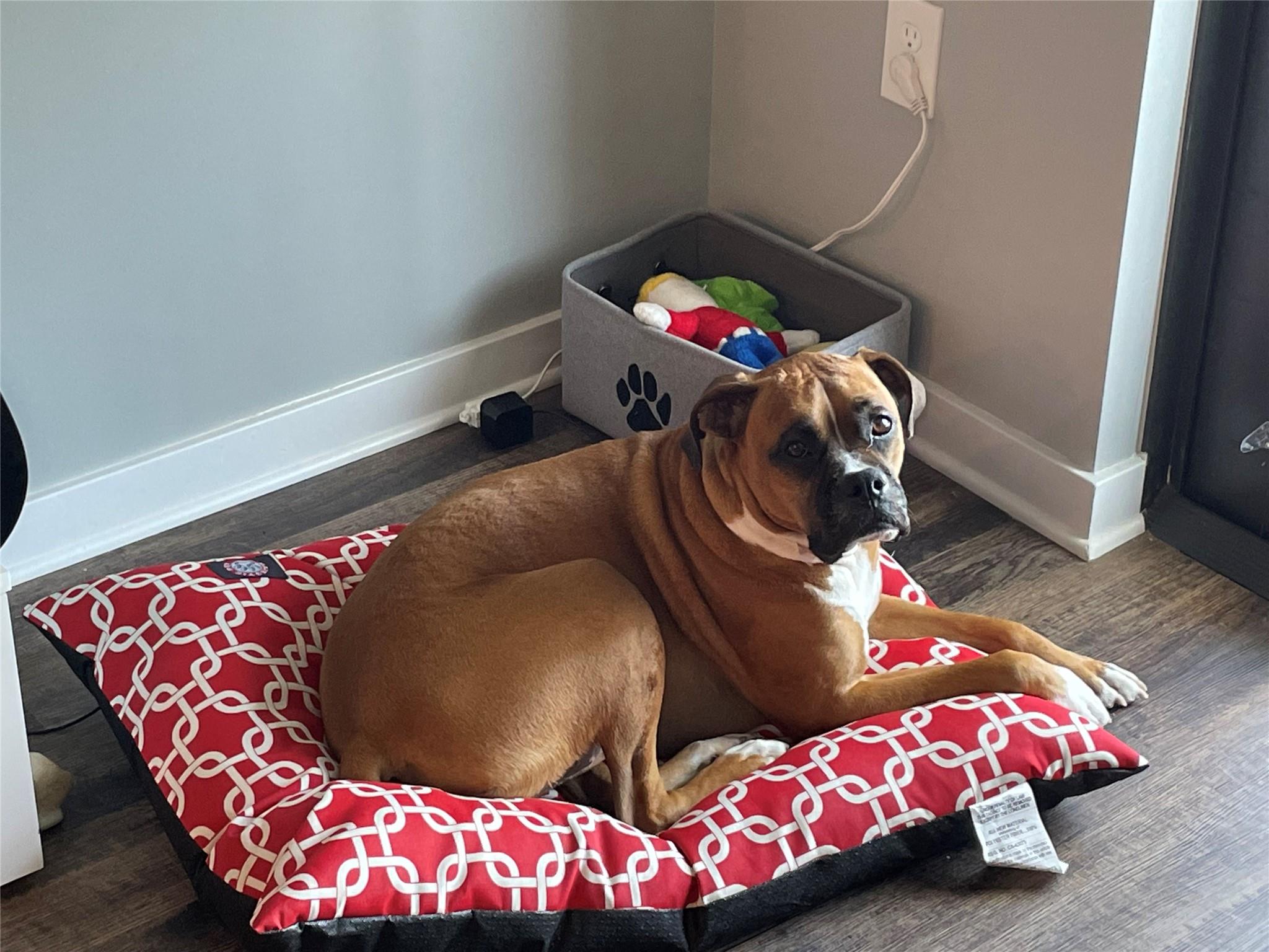 Progresso 2-18 D - Residential Lease