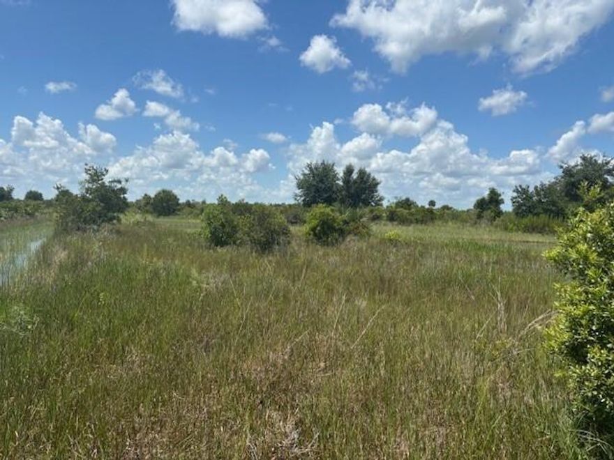 5 acres in Viking Estates. Close to the Kissimmee Prairie State Park. Bring your 4 -wheelers. This property is not only ideal for recreational uses such has camping, hunting and shooting, but it’s agricultural as well.
Owner financing available with only $6k down
Comes with survey