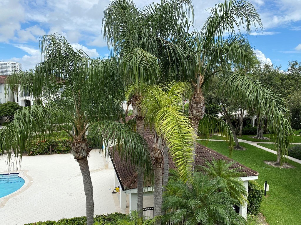 Village By The Bay Condo - Residential Lease