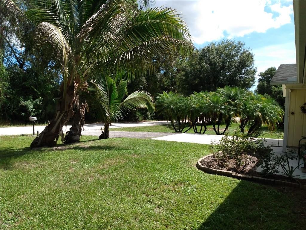 Pine Tree Park - Residential