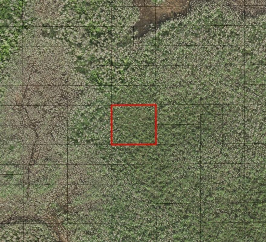 Holopaw offers vast, open spaces and abundant trails perfect for four-wheeler enthusiasts, making it a haven for off-road adventures. The area’s rich wildlife and serene natural environment provide excellent hunting opportunities for outdoor enthusiasts. Owning property in Holopaw ensures easy access to these activities, creating a personal retreat in the heart of Florida’s wilderness.Owner financing available