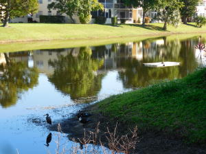 Century Village - Residential