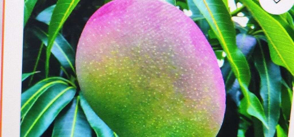 Photo of 2829 NW 9th Place, Fort Lauderdale, FL 33311 (MLS # B26007045)