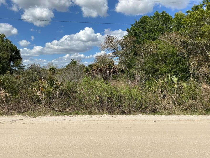 Discover the perfect opportunity to own 1.50 acres of land in the peaceful and growing area of Okeechobee. This spacious lot offers plenty of room to build your dream home, place a manufactured home, or invest for the future. Located in a quiet, rural setting, the property is surrounded by natural Florida beauty with a mix of open land and nearby homes, providing both privacy and a welcoming community feel. Power is available, making it easier and more cost-effective to start your building plans. Enjoy the charm of country living while still being conveniently close to local shops, dining, schools, and outdoor recreation, including the renowned Lake Okeechobee for fishing and boating. With easy access to main roads, this property offers the ideal balance of tranquility and accessibility.