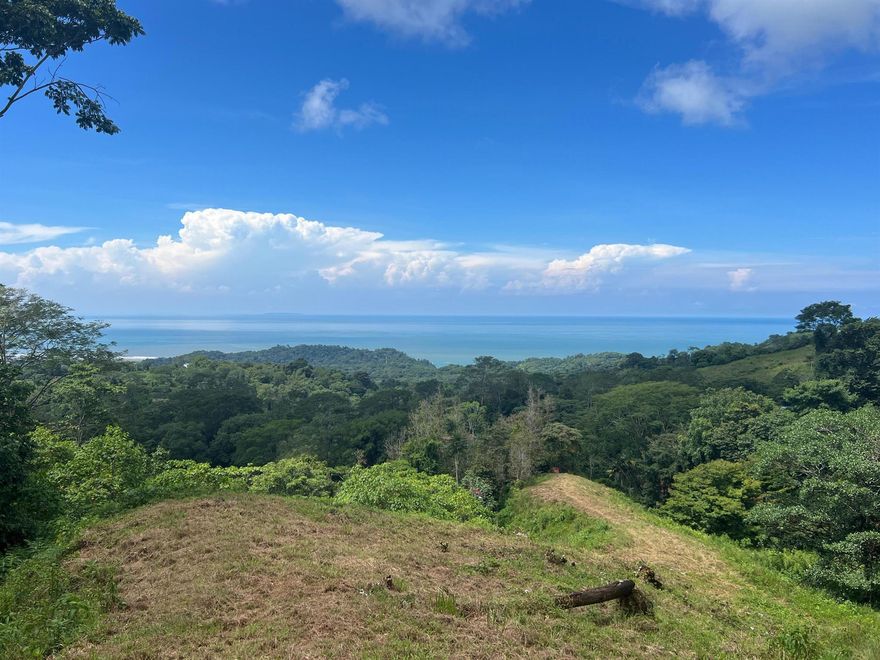 FABULOUS OCEAN, MOUNTAIN, JUNGLE AND VALLEY VIEWS!  Over 2.6 acres with 194 foot frontage, this is the creme de la creme of lots in the Southern Pacific zone! You have to see it to believe it!  This is the first time this lot has been offered for sale. the developer was holding it back as a personal favorite! OWNER FINANCING:  3 YEARS AT 7%, 50% DOWN; NO BUILDING UNTIL LOAN PAID OFF. Please call Listing Agent for private showing.