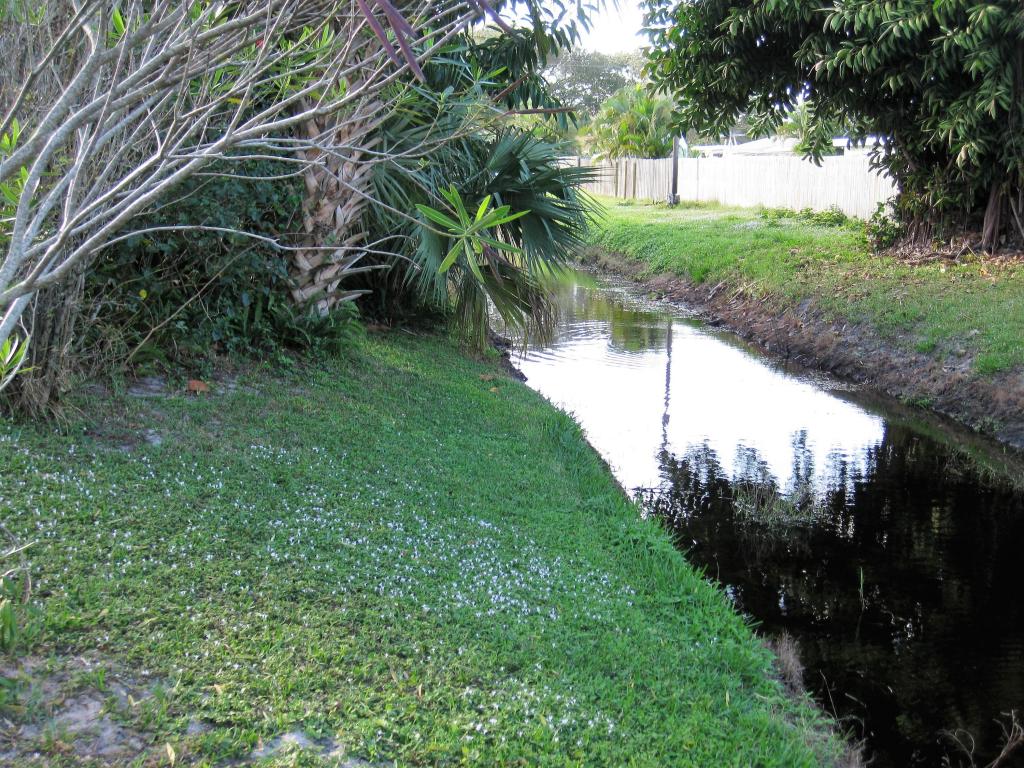 JUPITER IN THE PINES - Residential